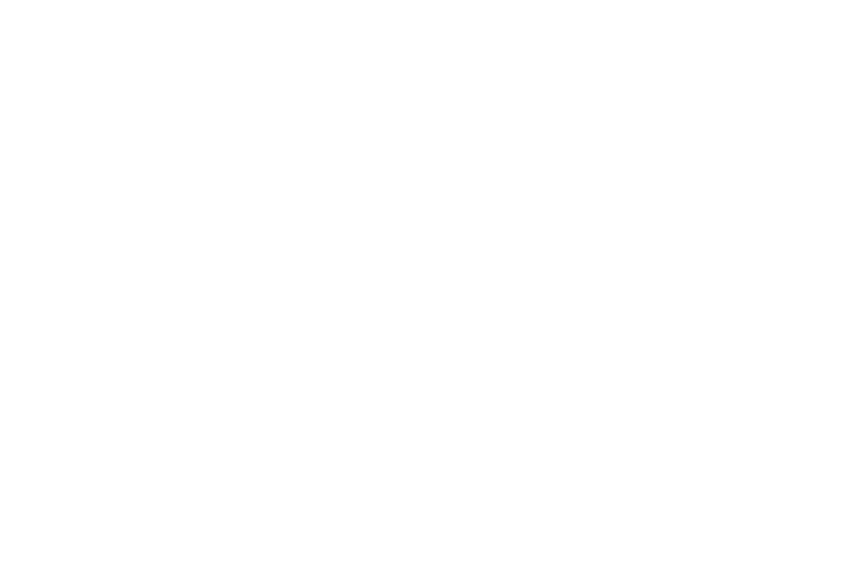 johnny rockets