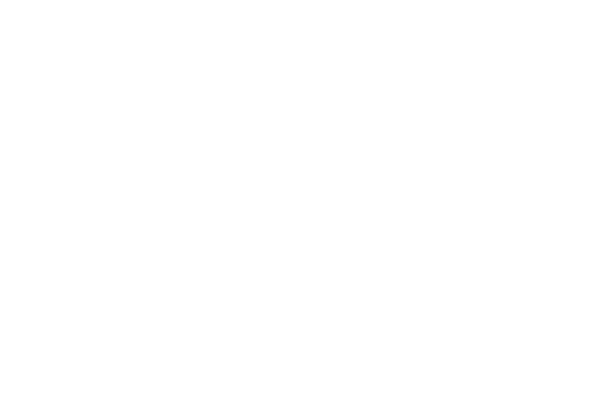 ponderosa bonanza